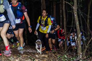 BIB: 376
                            <button type="button" onclick="openModal(19038961)" class="btn btn-primary btn-sm float-right btn-popup" data-toggle="modal" data-target=".modal-high-quality">
                        <i class="fas fa-shopping-cart"></i> Add to Cart
                    </button>
                                            <button type="button" onclick="isThisMe(19038961, true)" class="btn btn-success btn-sm float-right btn-popup btn-isme hidden" data-toggle="tooltip" data-placement="bottom" title="นี่คือรูปของคุณใช่ไหม คลิกที่นี่เพื่อเอาเข้าอัลบั้ม">
                        <i class="fas fa-plus"></i> Add to album
                    </button>
                    <button type="button" onclick="isThisMe(19038961, false)" class="btn btn-warning btn-sm float-right btn-popup btn-isnotme hidden">
                        <i class="fas fa-ban"></i> Remove from album
                    </button>